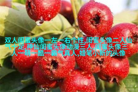 好刁的闺蜜头像两张