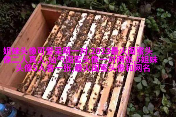 qq头像姐妹一左一右带字