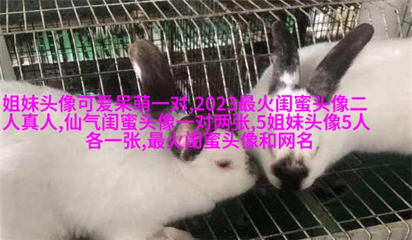 qq头像姐妹一左一右带字