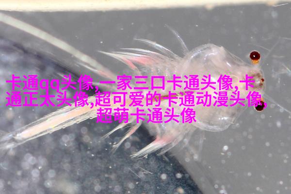 2023年最好看的头像(共16张)