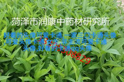 动漫风景图片唯美清新头像(精选24张)