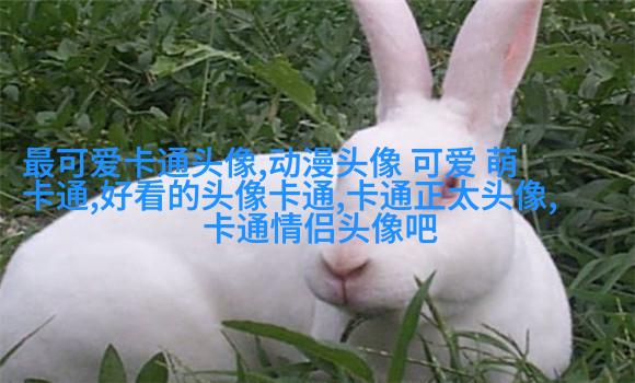 网红图片女生头像(精选18张)