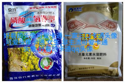 动漫风景图片唯美清新头像(精选24张)
