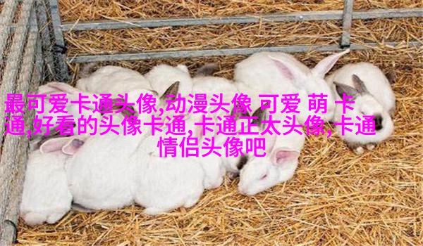 网红图片女生头像(精选18张)