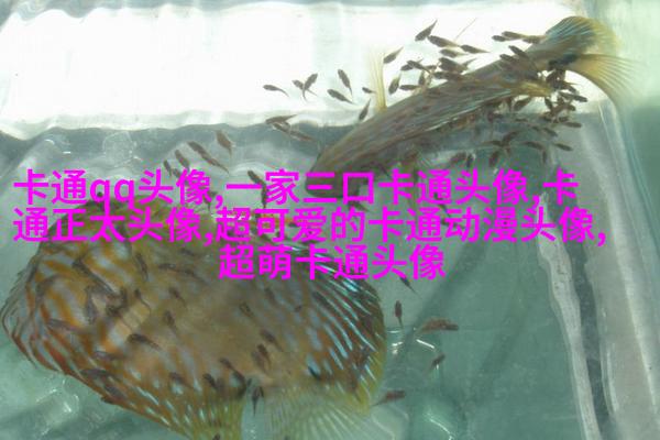 2023年最好看的头像(共16张)