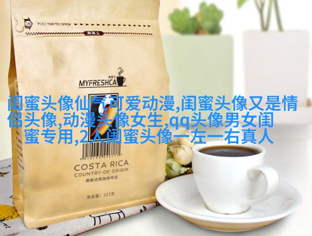 森系闺蜜头像一人一半