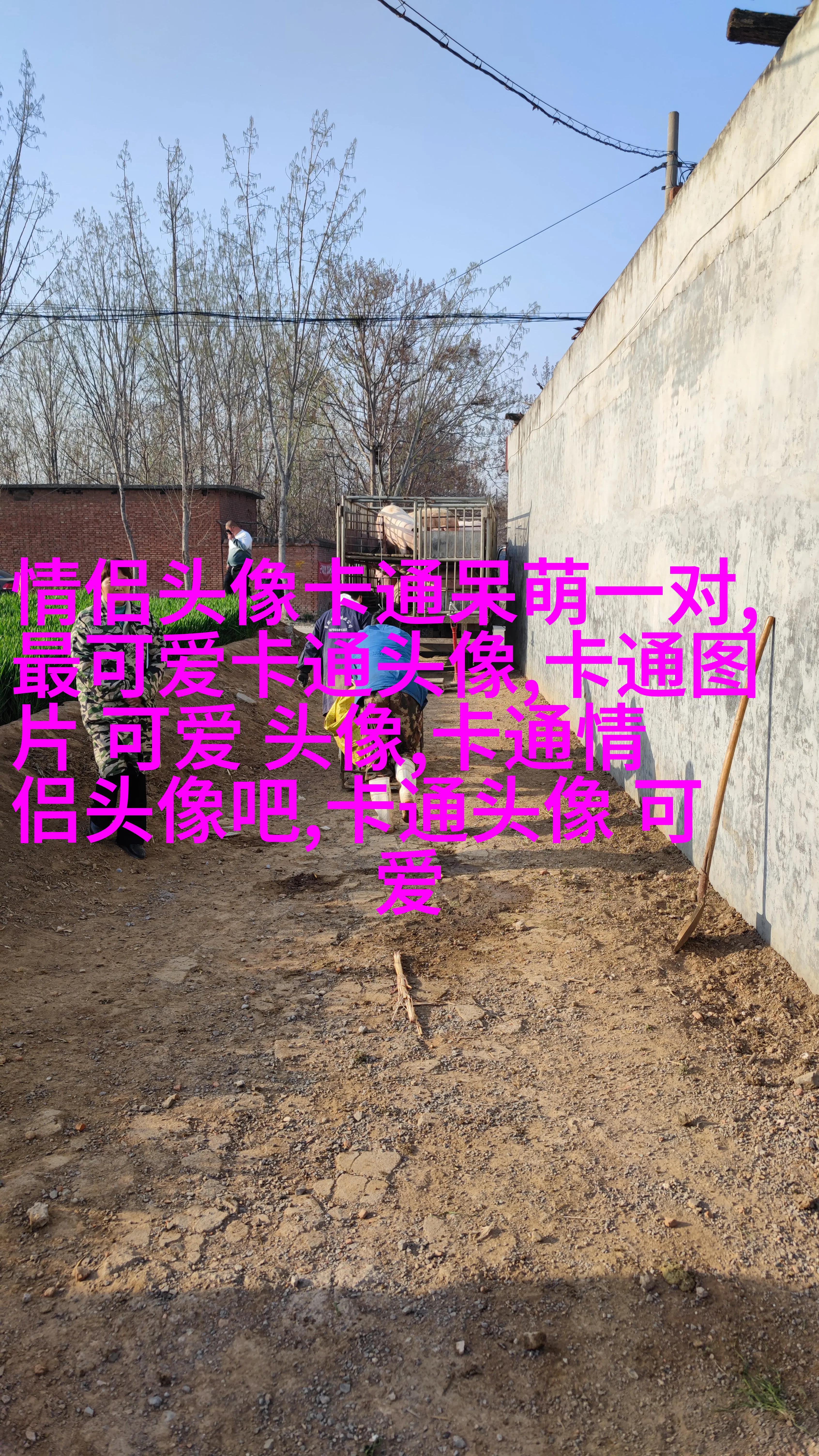 2023最火狗狗头像(精选25张)