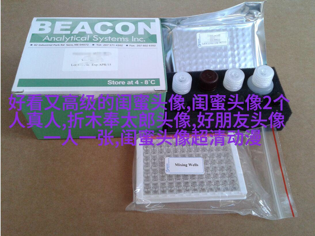 小清新学生范闺蜜贴吧头像一人一张(优选34张)