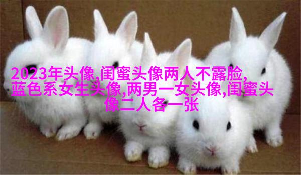 闺蜜头像动漫一人一张(精选20张)
