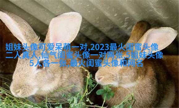 qq头像姐妹一左一右带字