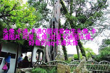 可爱的兄弟头像(共16张)