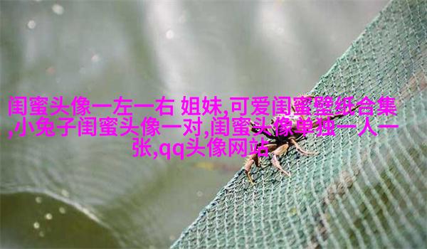 手绘闺蜜头像两人一人一张(精选16张)
