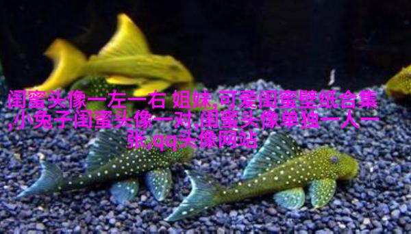 手绘闺蜜头像两人一人一张(精选16张)
