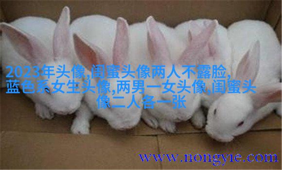 闺蜜头像动漫一人一张(精选20张)