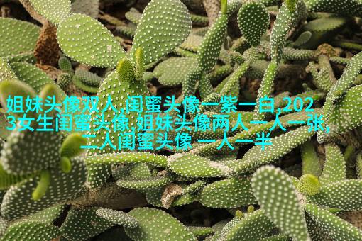 一组三个的三姐妹头像