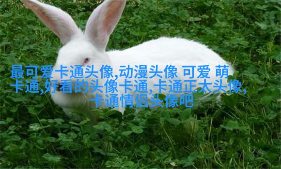 网红图片女生头像(精选18张)