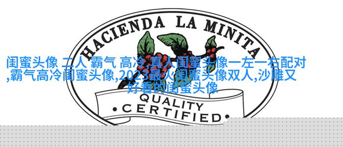 非主流超拽姐妹一对头像