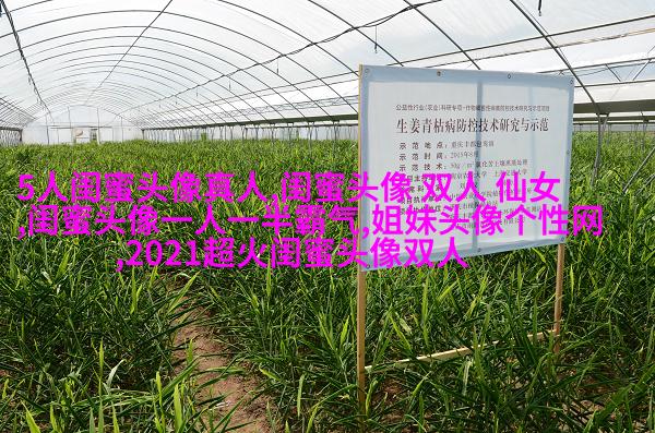 姐妹三人qq头像_微信三姐妹头像