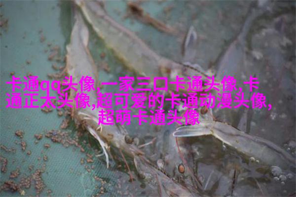2023年最好看的头像(共16张)