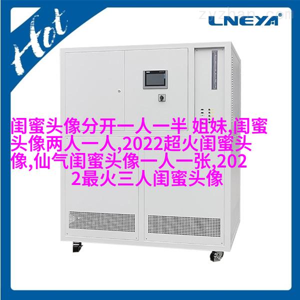 闺蜜头像一对两张霸气带字