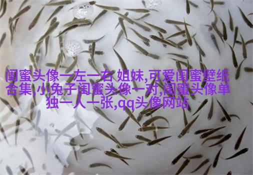 手绘闺蜜头像两人一人一张(精选16张)