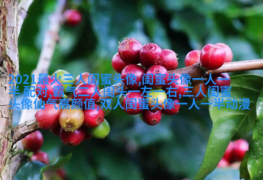 霸气超拽闺蜜头像(精选20张)