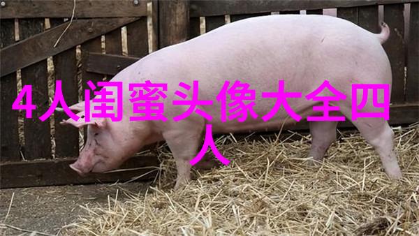 有爱三姐妹头像_三姐妹趣味生活