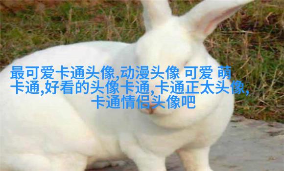 网红图片女生头像(精选18张)