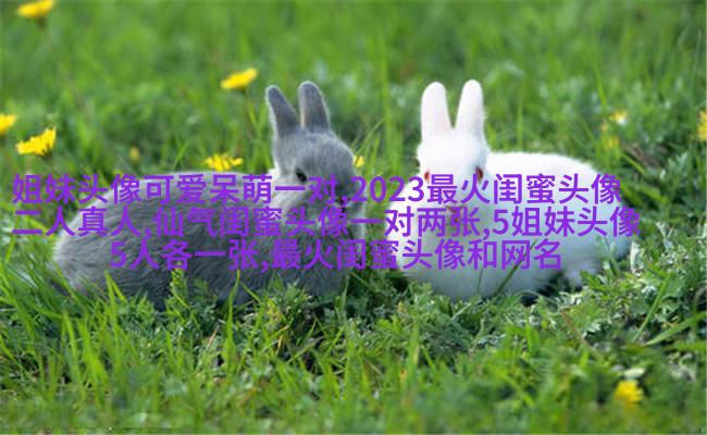qq头像姐妹一左一右带字
