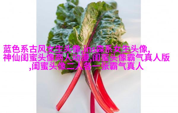 唯美森系闺蜜头像一对
