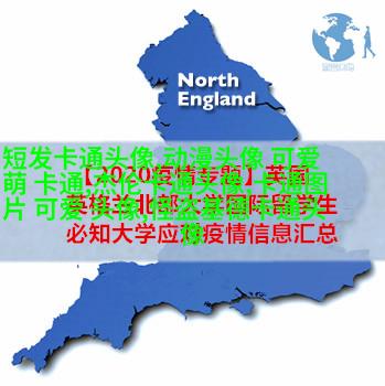 帅气可爱的女生头像(精选24张)