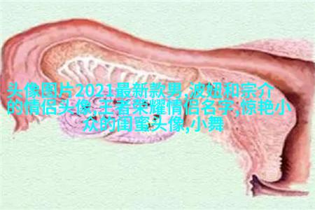 治愈系动漫手绘闺蜜头像(精选16张)