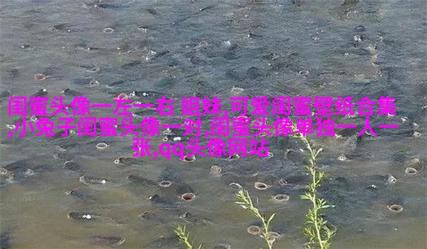 手绘闺蜜头像两人一人一张(精选16张)