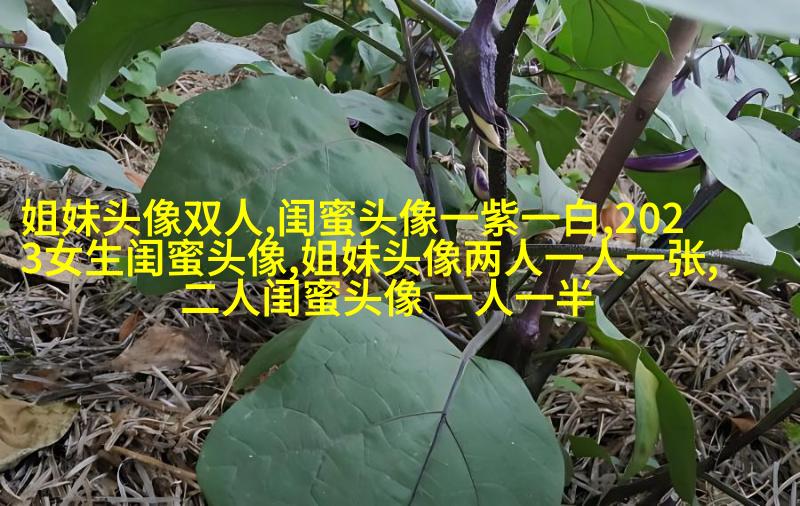 一组三个的三姐妹头像