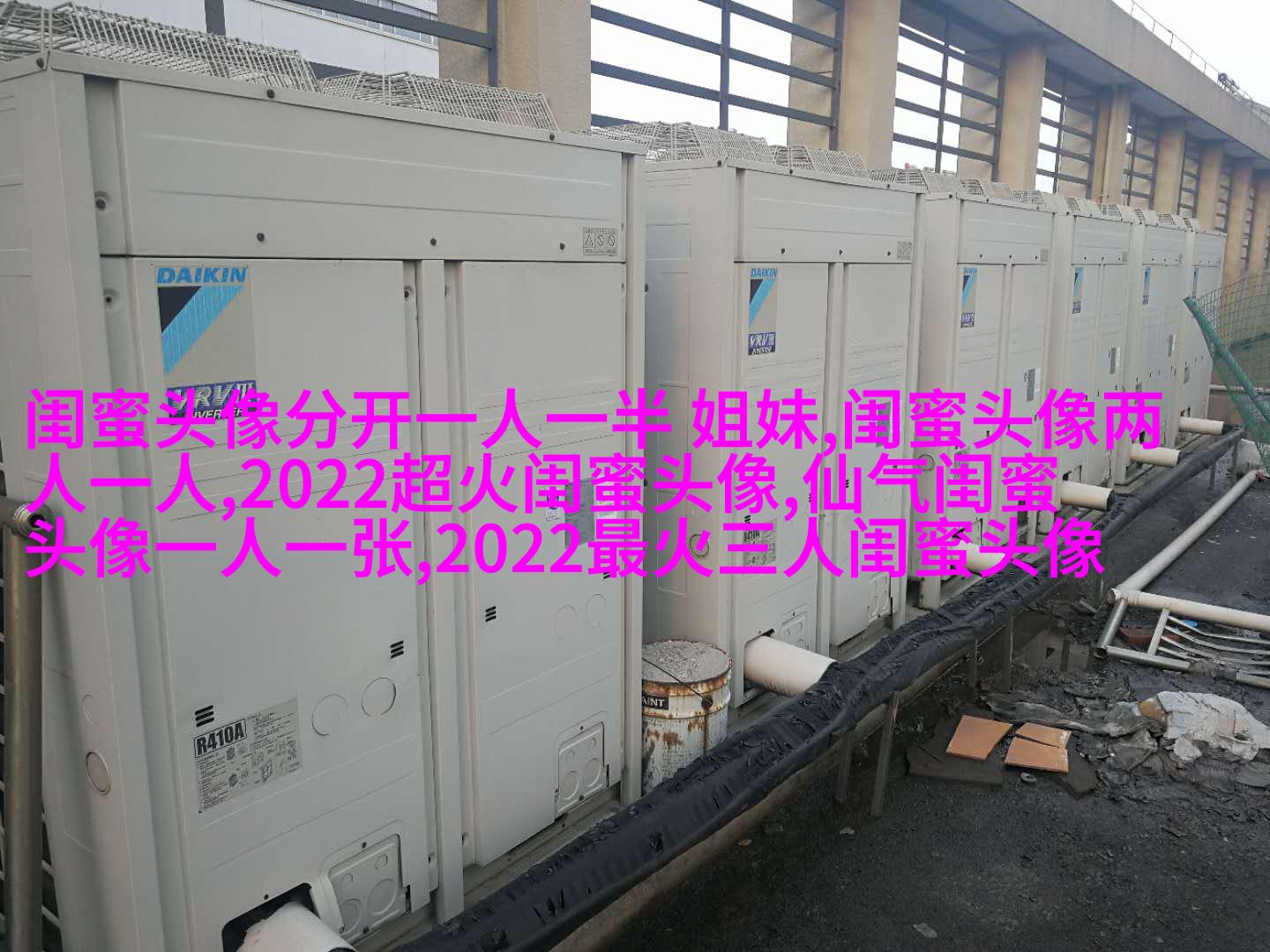 闺蜜头像一对两张霸气带字
