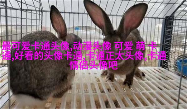 网红图片女生头像(精选18张)