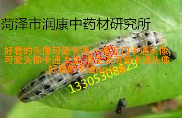 动漫风景图片唯美清新头像(精选24张)