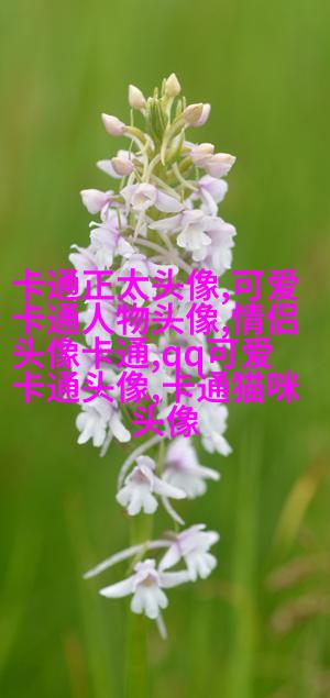 搞笑的头像