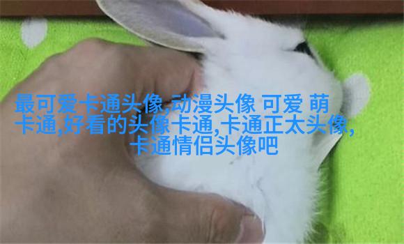 网红图片女生头像(精选18张)