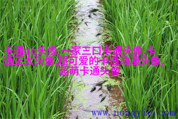 2023年最好看的头像(共16张)
