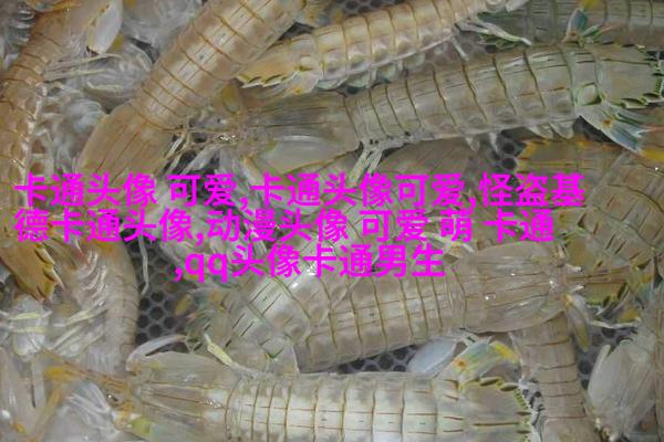 呆萌可爱女头动漫二次元高清图片(18张)