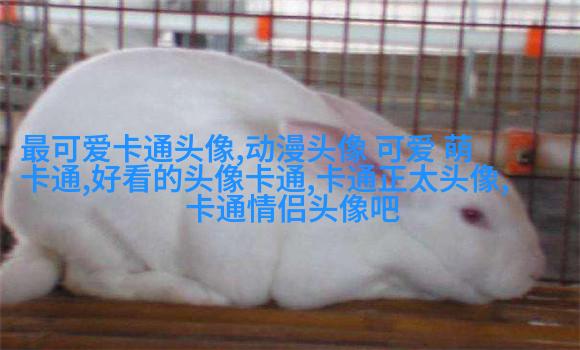网红图片女生头像(精选18张)