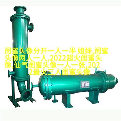 闺蜜头像一对两张霸气带字