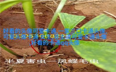 动漫风景图片唯美清新头像(精选24张)