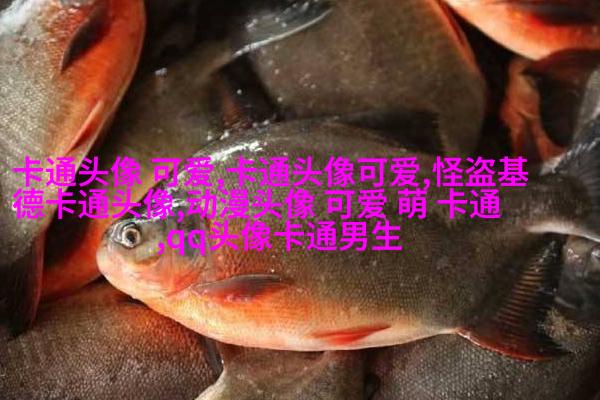 呆萌可爱女头动漫二次元高清图片(18张)