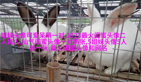 qq头像姐妹一左一右带字
