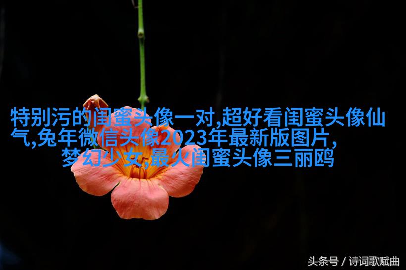 非主流头像带字闺蜜头像(34张)