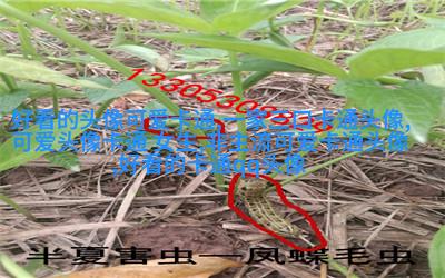 动漫风景图片唯美清新头像(精选24张)
