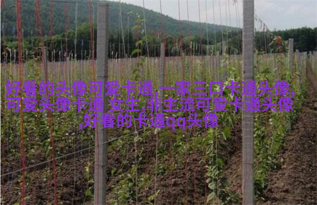 动漫风景图片唯美清新头像(精选24张)