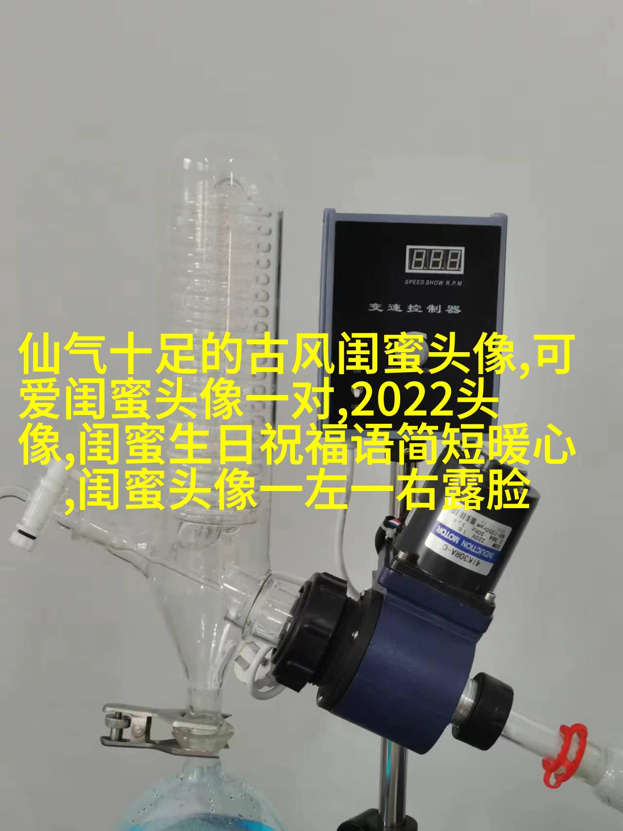 闺蜜头像单人真人图片(22张)